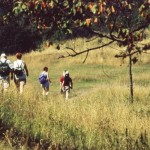 People hiking in a meadow